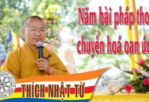 Năm pháp thoại chuyển hoá oan ức 2 – Thích Nhật Từ – 05/12/2004 nam phap thoai chuyen hoa oan uc 2