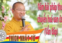 Năm pháp thoại chuyển hoá oan ức 4 (Vấn đáp) – Thích Nhật Từ – 12/2004 nam phap thoai chuyen hoa oan uc