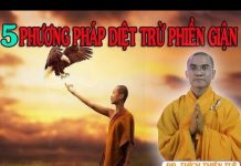 Năm Phương Pháp Diệt Trừ Phiền Giận – Thích Thiện Tuệ nam phuong phap diet tru phien g