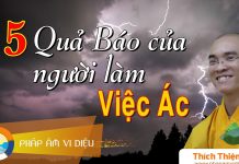 Năm Quả Báo Của Người Làm Việc Ác – Thích Thiện Tuệ nam qua bao cua nguoi lam viec a