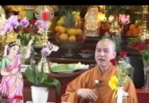 Năm Sắc Hào Quang – Thích Pháp Hòa nam sac hao quang thich phap hoa