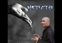 Nắm Tro Tàn – Thích Thiện Thuận nam tro tan thich thien thuan