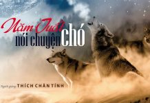 Năm Tuất Nói Chuyện Chó – Thích Chân Tính nam tuat noi chuyen cho thich ch
