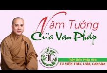 Năm Tướng Của Vạn Pháp – Thích Pháp Hòa nam tuong cua van phap thich pha