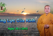 Năng lực của Kinh – Thích Pháp Hòa nang luc cua kinh thich phap hoa
