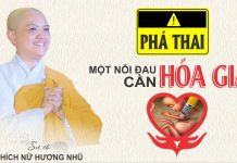 Nạo Phá Thai Vấn Nạn Cần Hóa Giải – Thích Nữ Hương Nhũ nao pha thai van nan can hoa gia
