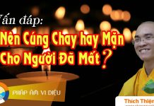 Nên Cúng Chay Hay Mặn Cho Người Đã Mất – Thích Thiện Tuệ nen cung chay hay man cho nguoi