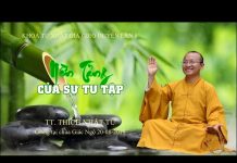Nền tảng của sự tu tập – Thích Nhật Từ nen tang cua su tu tap thich nha