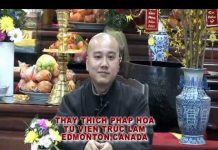 Nét Đẹp Lòng Từ – Thích Pháp Hòa net dep long tu thich phap hoa