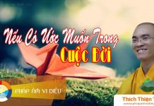 Nếu Có Ước Muốn Trong Cuộc Đời – Thích Thiện Tuệ neu co uoc muon trong cuoc doi t