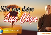 Nếu Con Được Lựa Chọn – Thích Thiện Tuệ neu con duoc lua chon thich thie