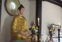 Ngày Dũng – Thích Thái Hòa ngay dung thich thai hoa