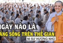 Ngày nào là đáng sống trên thế gian – Thích Nữ Hương Nhũ ngay nao la dang song tren the g