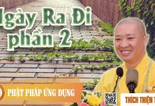 Ngày Ra Đi phần 2 – Thích Thiện Thuận ngay ra di phan 2 thich thien th