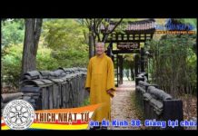 Nghệ Thuật Chặt Đứt Mắc Xích Khổ Đau A(Đại Kinh Đoạn Tận Ái Kinh 38) – Thích Nhật Từ nghe thuat chat dut mac xich kho