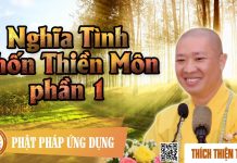 Nghĩa Tình Chốn Thiền Môn phần 1 – Thích Thiện Thuận nghia tinh chon thien mon phan 1