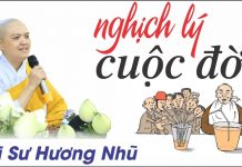 Nghịch Lý Cuộc Đời – Thích Nữ Hương Nhũ nghich ly cuoc doi thich nu huon