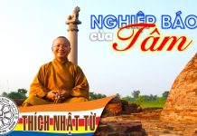 Nghiệp báo của tâm – Thích Nhật Từ nghiep bao cua tam thich nhat tu