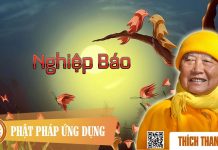 Nghiệp Báo – Thích Thanh Từ nghiep bao thich thanh tu