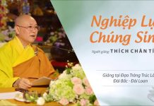 Nghiệp Lực Chúng Sinh – Thích Chân Tính nghiep luc chung sinh thich chan