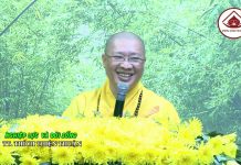 Nghiệp lực và đời sống phần 1 – Thích Thiện Thuận nghiep luc va doi song phan 1 th 2