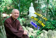 Nghiệp Lực Và Đời Sống Phần 2 – Thích Thiện Thuận nghiep luc va doi song phan 2 th