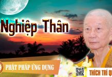 Nghiệp Thân – Thích Trí Quảng nghiep than thich tri quang