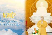 Nghiệp – Thích Viên Giác nghiep thich vien giac