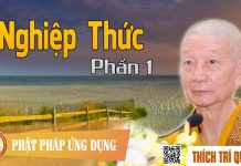 Nghiệp Thức 1 – Thích Trí Quảng nghiep thuc 1 thich tri quang
