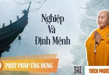 Nghiệp Và Định Mệnh – Thích Phước Tiến nghiep va dinh menh thich phuoc