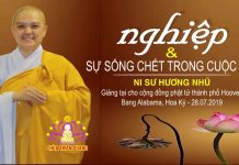Nghiệp Và Sự Sống Chết Trong Cuộc Đời – Thích Nữ Hương Nhũ nghiep va su song chet trong cuo