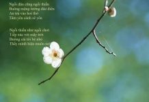Ngồi Đâu Cũng Ngồi Thiền – Thích Minh Niệm ngoi dau cung ngoi thien thich m