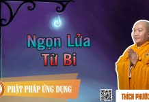 Ngọn Lửa Từ Bi – Thích Phước Tiến ngon lua tu bi thich phuoc tien