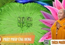 Ngũ Căn Ngũ Lực – Pháp Tu Của Bậc Thánh – Thích Phước Tiến ngu can ngu luc phap tu cua bac
