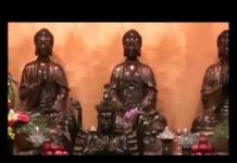 Ngũ Căn Ngũ Lực – Thích Tâm Đức ngu can ngu luc thich tam duc