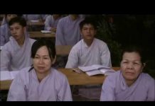 Ngũ Căn Ngũ Lực – Thích Trí Huệ ngu can ngu luc thich tri hue