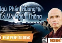 Ngũ Phần Hương & Tổ Vô Ngôn Thông – Thích Nhất Hạnh ngu phan huong to vo ngon thong