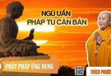 Ngũ Uẩn – Pháp Tu Căn Bản (Five Skandhas – A Fundamental Practice) – Thích Phước Tiến ngu uan phap tu can ban five ska
