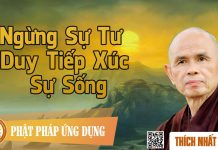 Ngừng Sự Tư Duy – Tiếp Xúc Sự Sống – Thích Nhất Hạnh ngung su tu duy tiep xuc su song