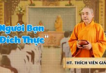 Người Bạn Đích Thực – Thích Viên Giác nguoi ban dich thuc thich vien g