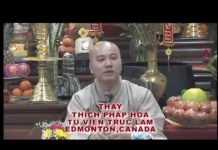 Người Bắt Rắn 1 – Thích Pháp Hòa nguoi bat ran 1 thich phap hoa