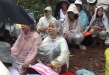 Người Biết Niệm Phật – Thích Thái Hòa nguoi biet niem phat thich thai