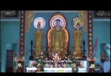 Người Chết Đi Đâu – Thích Tâm Đức nguoi chet di dau thich tam duc