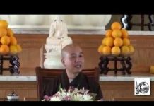 Người Cư Sĩ Viên Mãn 4 – Thích Pháp Hòa nguoi cu si vien man 4 thich pha