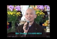 Người Đi Biền Biệt Phần 1 – Thích Phước Tịnh nguoi di bien biet phan 1 thich