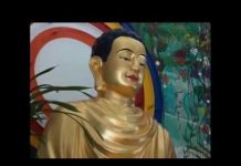 Người Đi Biền Biệt Phần 2 – Thích Phước Tịnh nguoi di bien biet phan 2 thich