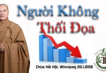 Người Không Thối Đọa – Thích Pháp Hòa nguoi khong thoi doa thich phap