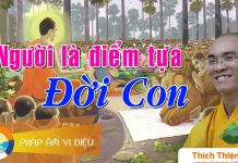 Người Là Điểm Tựa Đời Con – Thích Thiện Tuệ nguoi la diem tua doi con thich