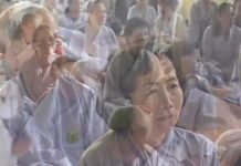 Người Lữ Khách – Thích Nữ Như Lan nguoi lu khach thich nu nhu lan