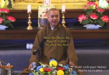 Người Nào Nghiệp Nấy – Thích Pháp Hòa nguoi nao nghiep nay thich phap